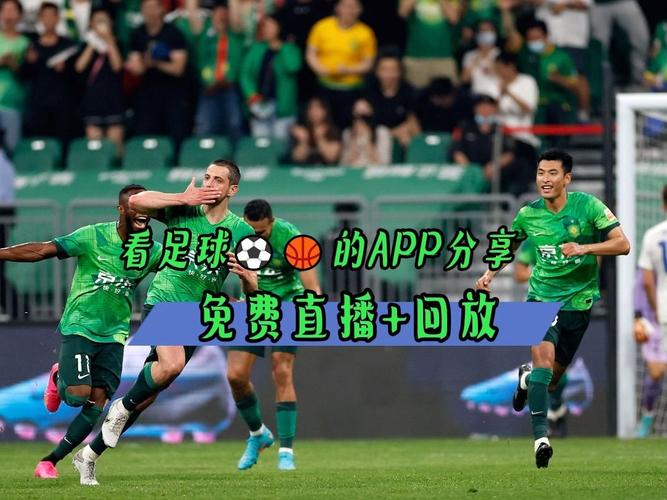 上海体育足球直播视频回放