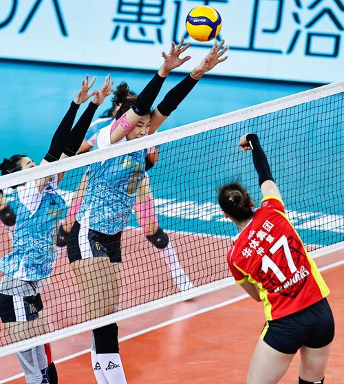 女排决赛直播天津上海体育