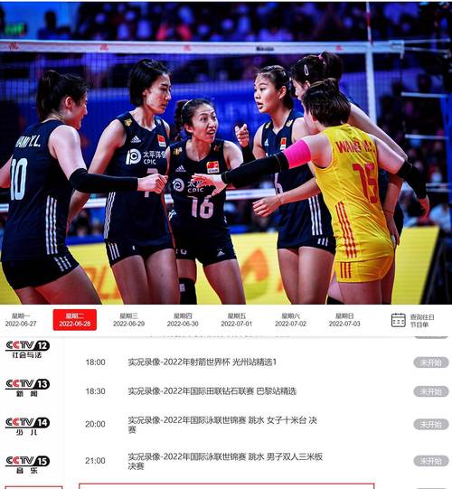 中国体育频道直播女排赛的相关图片