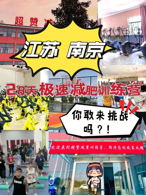 南京体育训练营直播视频的相关图片