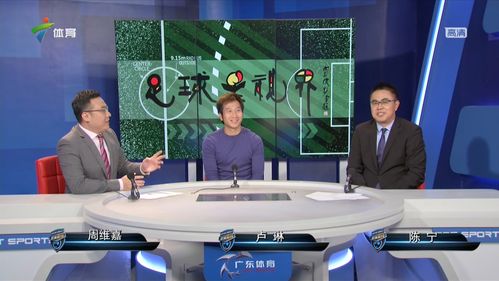 广东体育台解说足球直播的相关图片